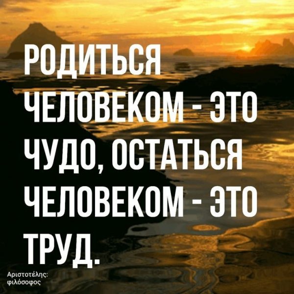 a53b460ea28411ae9ad1faec5709
