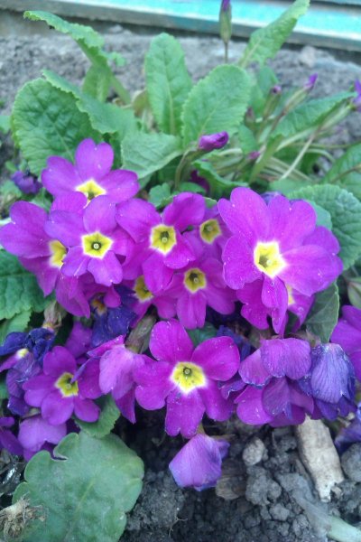 IMAG0969