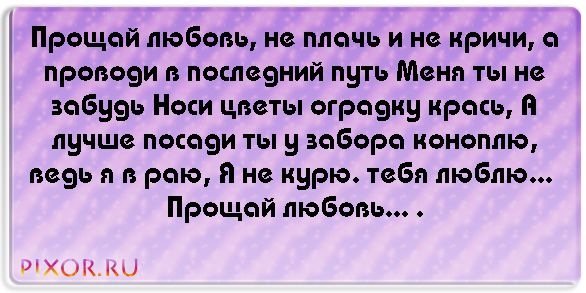 wpid-311169 873846