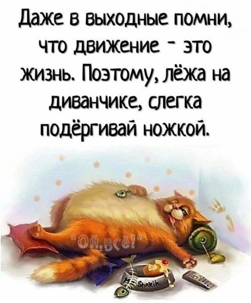 IMG-20231112-WA0011