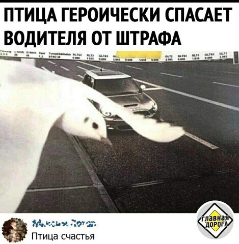 image (3) (4)