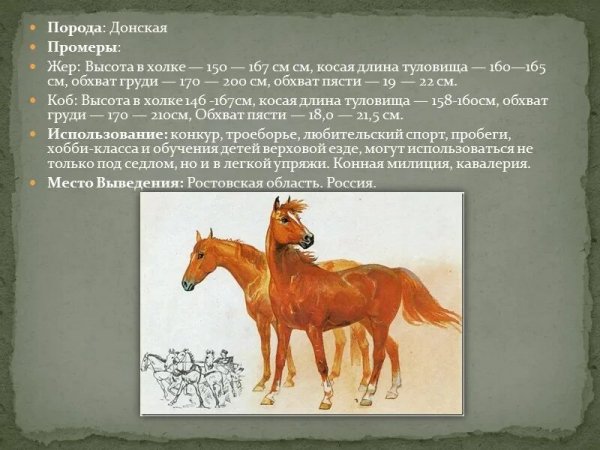 Донская