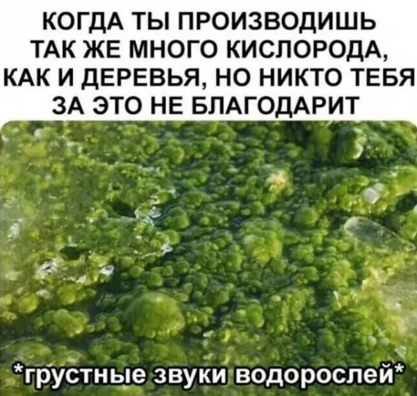 Гораздо больше)