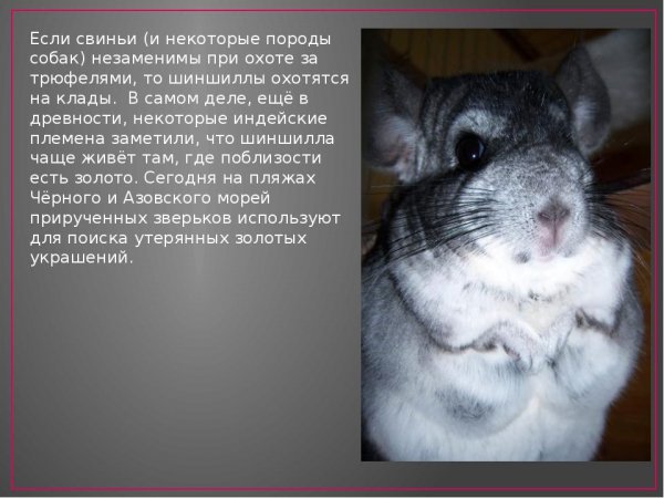 Это интересно