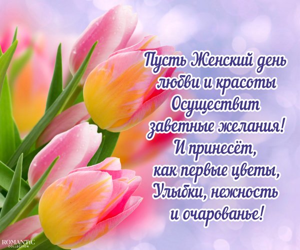 IMG-1b89a466ad9a62da852d004778eb4583-V