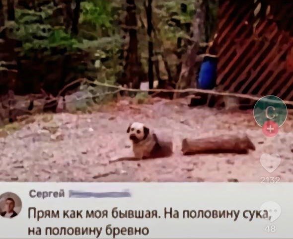 XfDIXk1wDQs