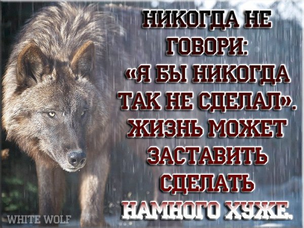 iG65StGQwew
