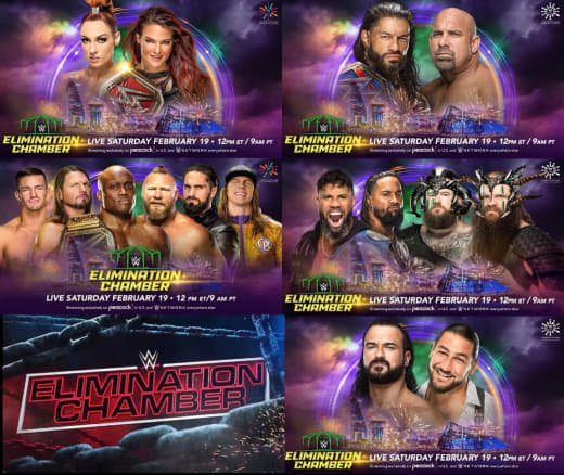 WWE (100)