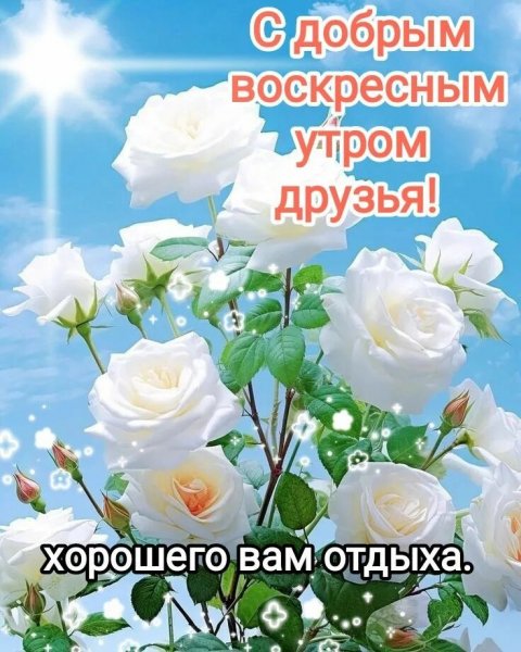 Будем счастливы!