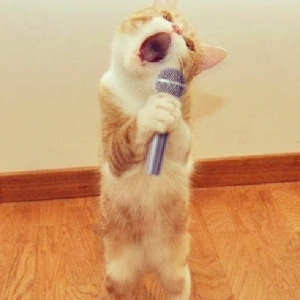 f0b3b640b41111e394de12247874e2c6 8