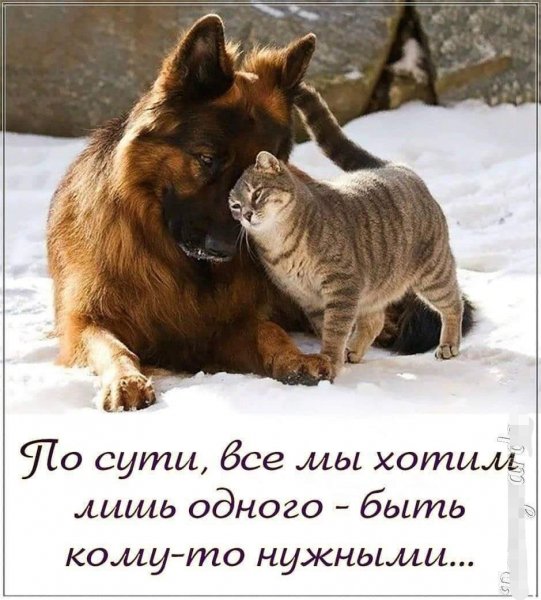 Так!