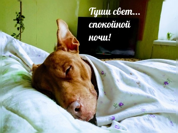 Туши свет...