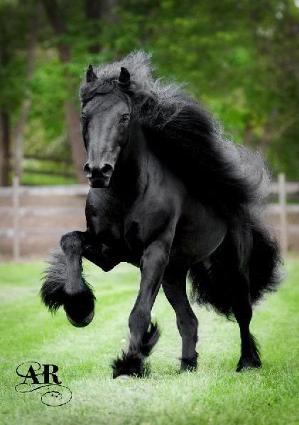 fd66681a45dc060fd28b9d9b7a33