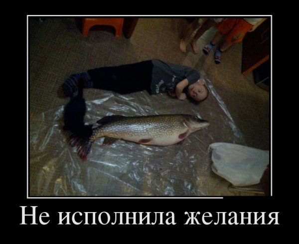 Не исполнила желания
