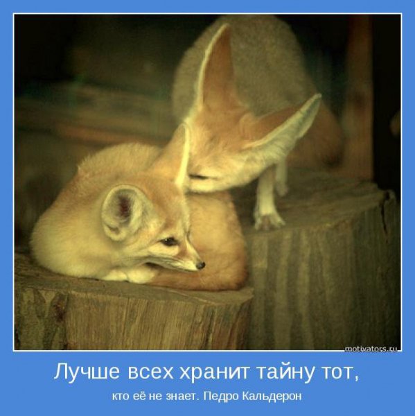 novye-motivatory-14