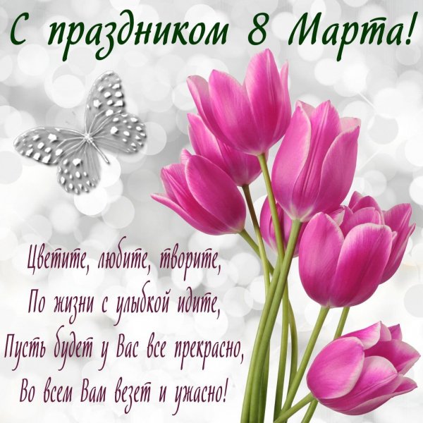 IMG-20230308-WA0009