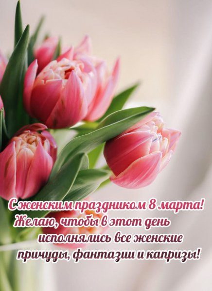 IMG-20230308-WA0007