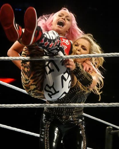 Wwe (354)