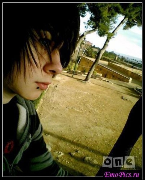 44a6d24bfc460150e1fb07ad3dfe2a12
