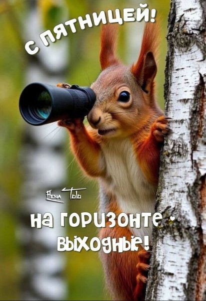 IMG 20250912 191842