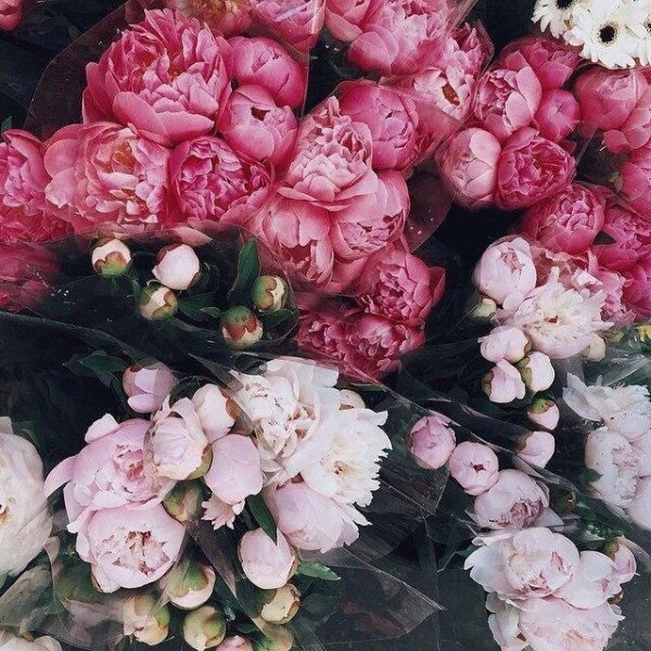 9BD3BBAC-3052-4AD6-8094-D1D15A1971B1