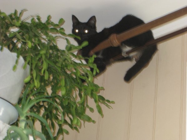 IMG 1509