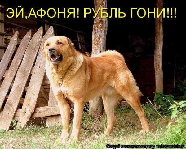 Рубль гони!!!