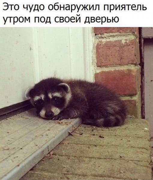 Чудо)