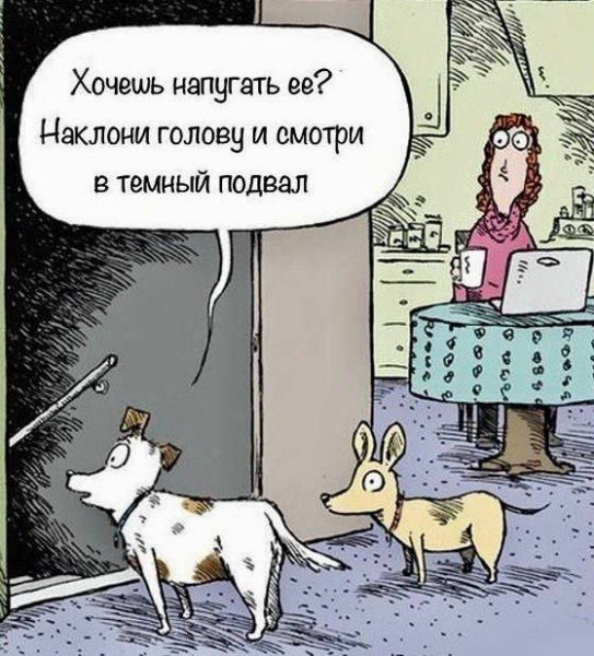 1a52ef54fe 20454775