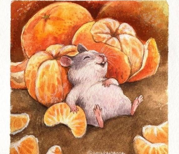 a252fb6d837c6c2e834c061ae2