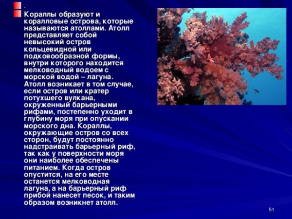 Кораллы