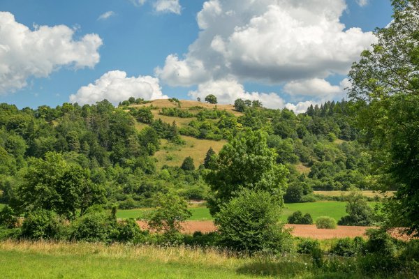 CzhWYINSVk8