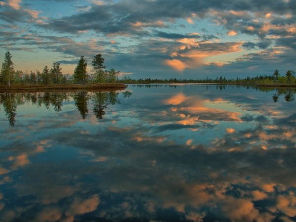 VASIUGAN-swamp-beauty