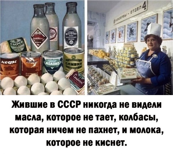 IMG 20240202 131015