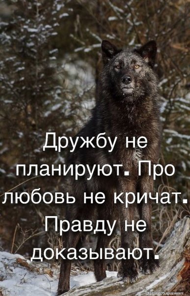 IMG 20190702 175355 510--