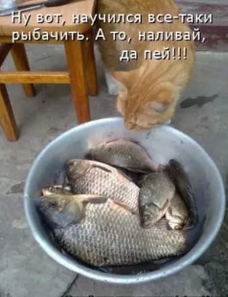 Да пей!!!