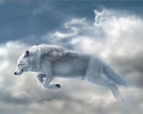 7c95028f5299f440f722a3431d5ce2f2