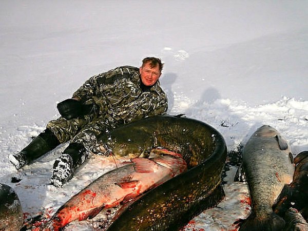 Крупные поклёвки в начале 10-х годов
