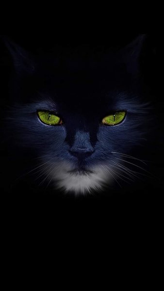 23-46-49-216844019 552651226102889 541129459125039684 n