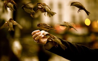 2NsC7zZPy5Pk04109. 000