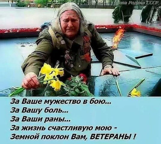 Д.П44
