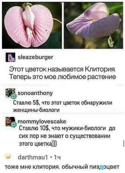 Юмор