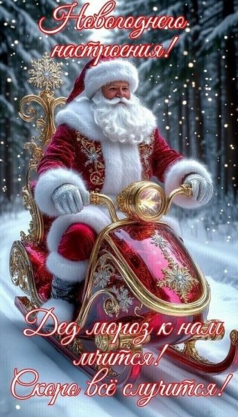 Image by CATRUS (1) (2)