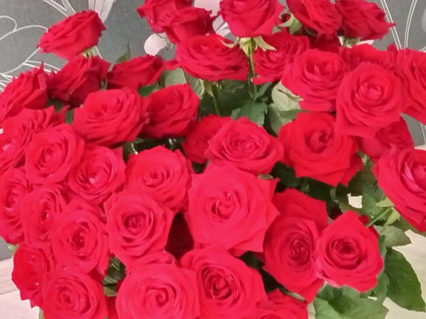 IMG 20220329 153743