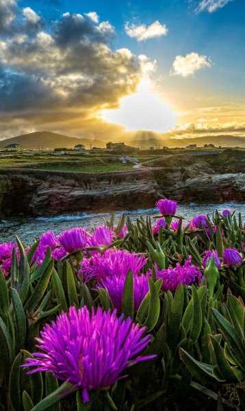 preview 7dcd94dc3cb121523118dc0dfcf50197