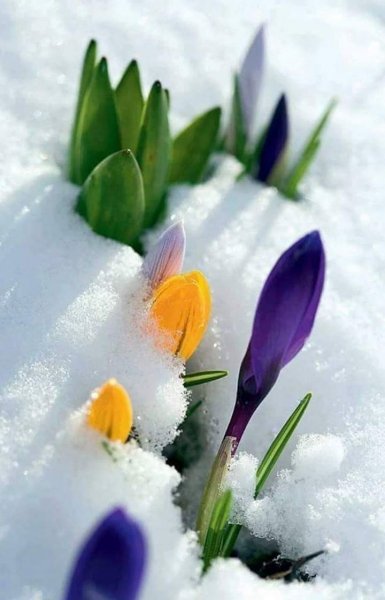 FB IMG 1610208140043