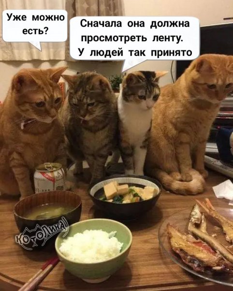 Такие дела... ))