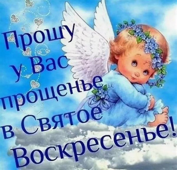 91e2810734204a4792acbf156903becc
