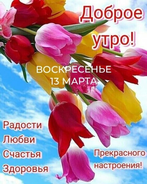IMG 20220313 150339