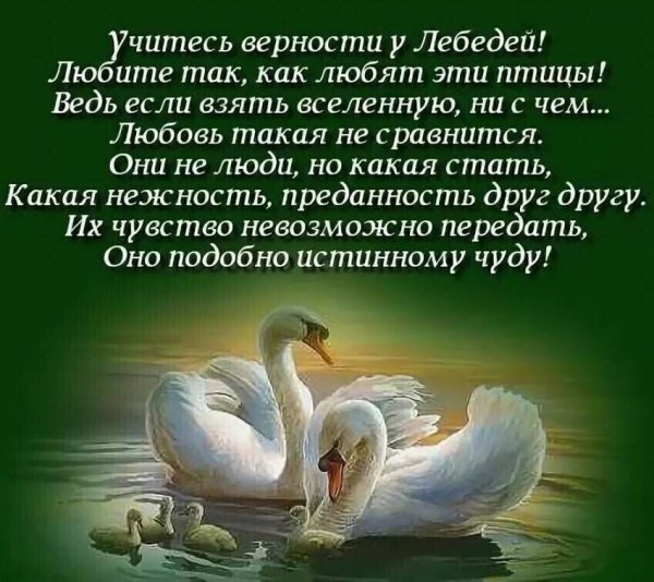 Да!